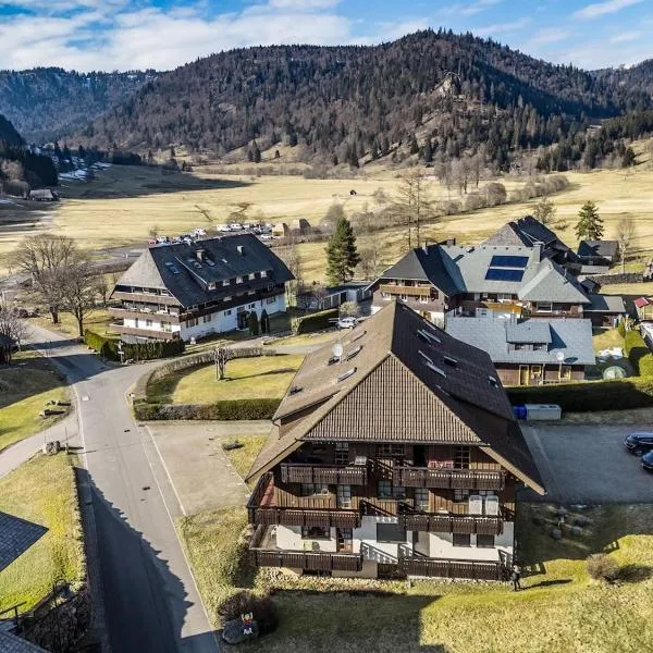 Galeriewohnung in Menzenschwand，位于Menzenschwand-Hinterdorf的酒店