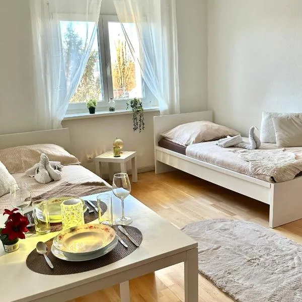 Quiet Apartment near Airport Vienna #2，位于施韦夏特的酒店
