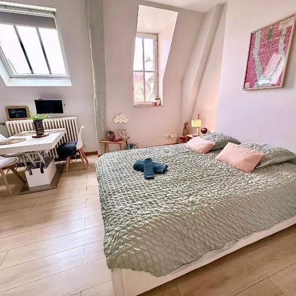 Le petit POTE' studio Dijon hyper centre，位于第戎的酒店