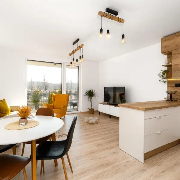 New BNB Apartment In the Ostrava with parking option，位于Slezská Ostrava的酒店