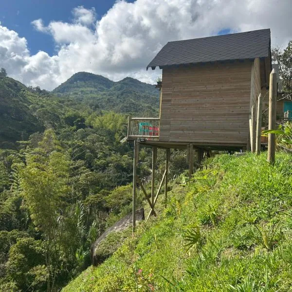 Cabañas Colibrí，位于科科尔纳的酒店