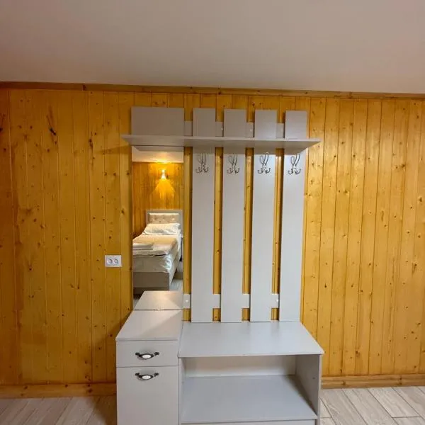 Mountain Discoveries guest house，位于Barskoon的酒店
