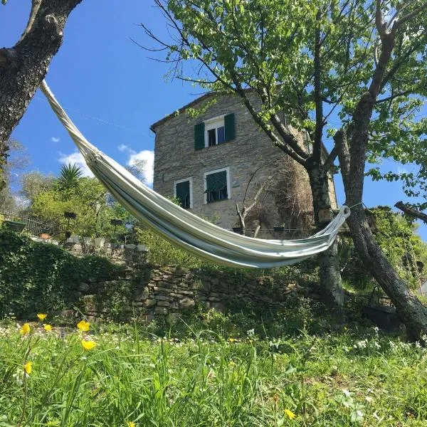 Rustico tra gli Ulivi，位于拉帕洛的酒店