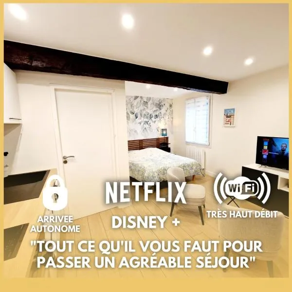 Studio cosy à Cailloux Proche Lyon & nature，位于Cailloux-sur-Fontaines的酒店