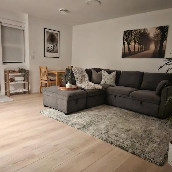 Cozy new Suite in Silver Valley，位于枫树岭的酒店