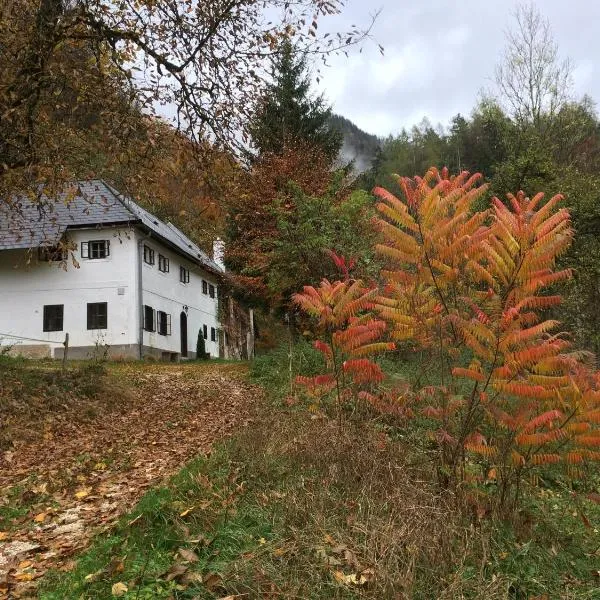 Forsthaus Gut Traunfried，位于Ramsau的酒店