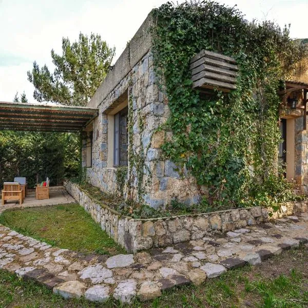 蓝鸟谷住宿加早餐旅馆，位于杰津的酒店