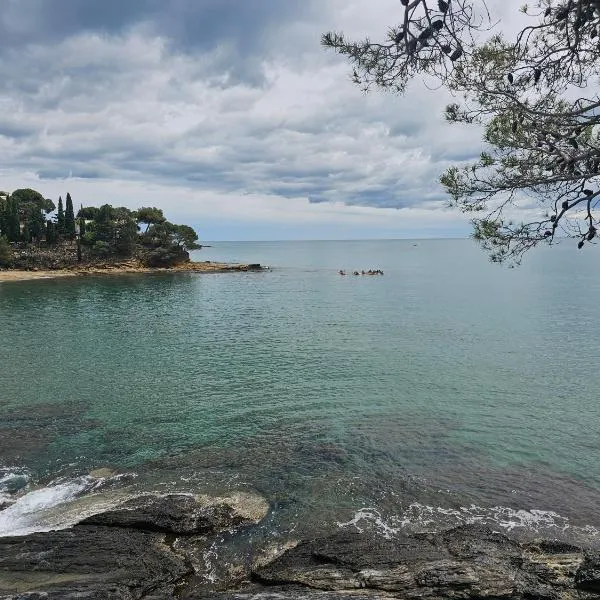 格瑞夫酒店，位于兰卡的酒店