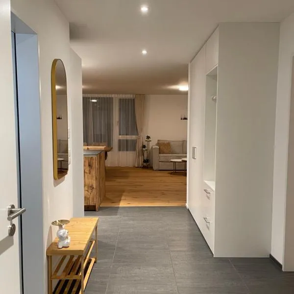Engler Apartments，位于Zizers的酒店