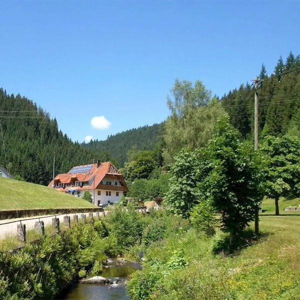 Gästehaus Herrmann，位于巴特里坡德索西坡的酒店