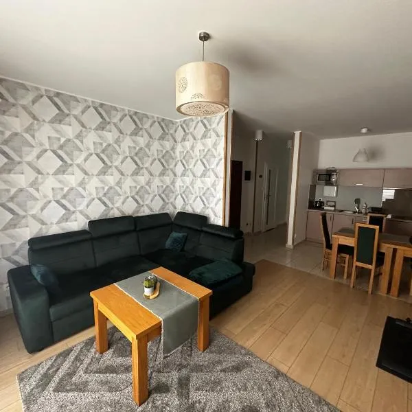 Apartamenty Plaza Słupca，位于斯武普察的酒店