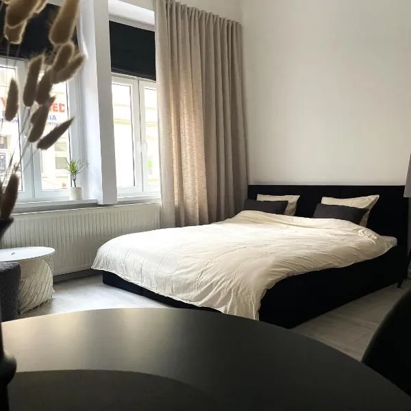 Apartament Miedziany Śródmieście，位于格鲁德柴兹的酒店