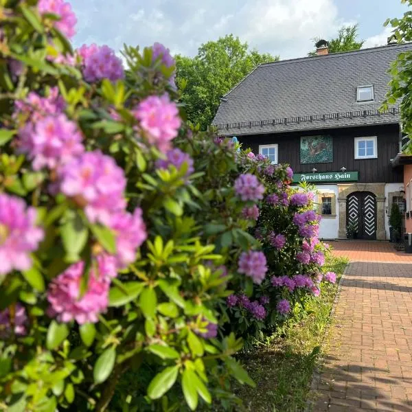 海恩金福斯旅馆及餐厅，位于奥伊宾的酒店