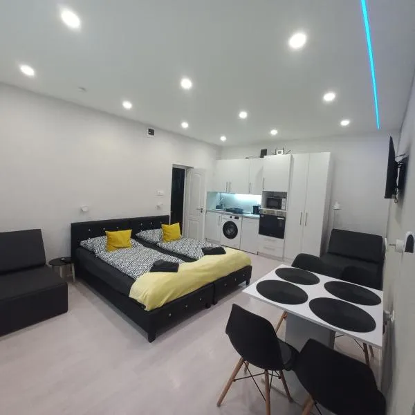 Stílus Apartman，位于瓦沙罗什瑙梅尼的酒店