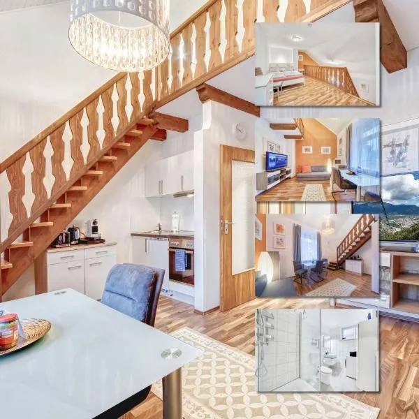 Galerie-Apartment am Kurgarten，位于巴特莱辛哈尔的酒店