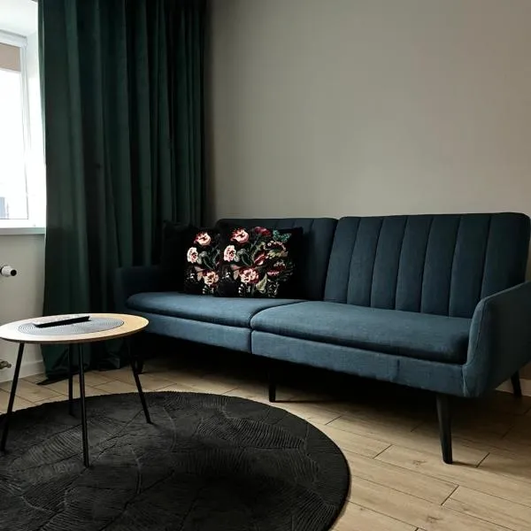 Tarnowskiego City Apartaments，位于库特诺的酒店