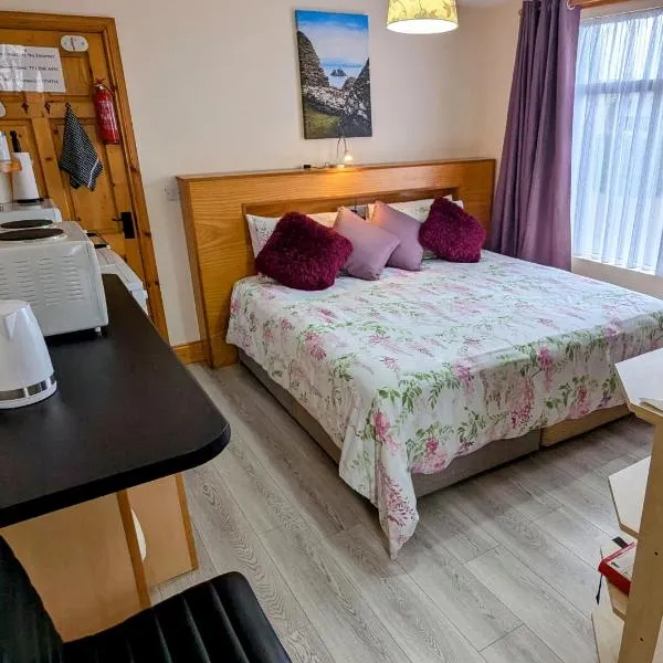 Skellig View Harbour View Sunrise Apartment，位于波特马吉的酒店
