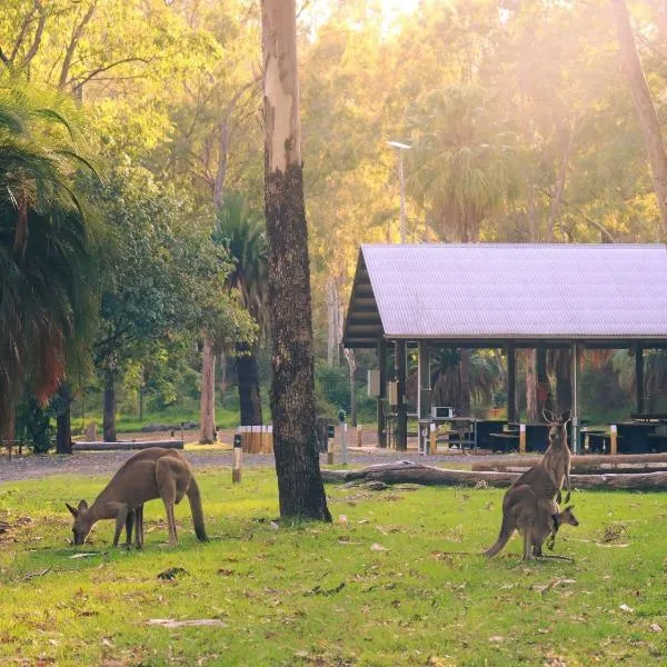 BIG4 Breeze Holiday Parks - Carnarvon Gorge，位于Carnarvon Gorge的酒店