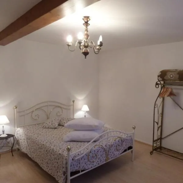 Centre de Colmar Zum Harzala，位于科尔马的酒店