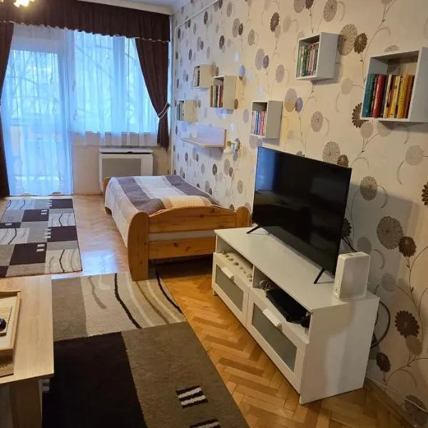 Habos isler apartman 16，位于索尔诺克的酒店