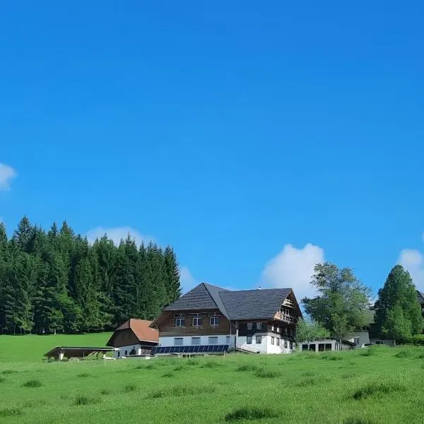 Lorenzenhäusle Titisee-Neustadt，位于蒂蒂湖-新城的酒店