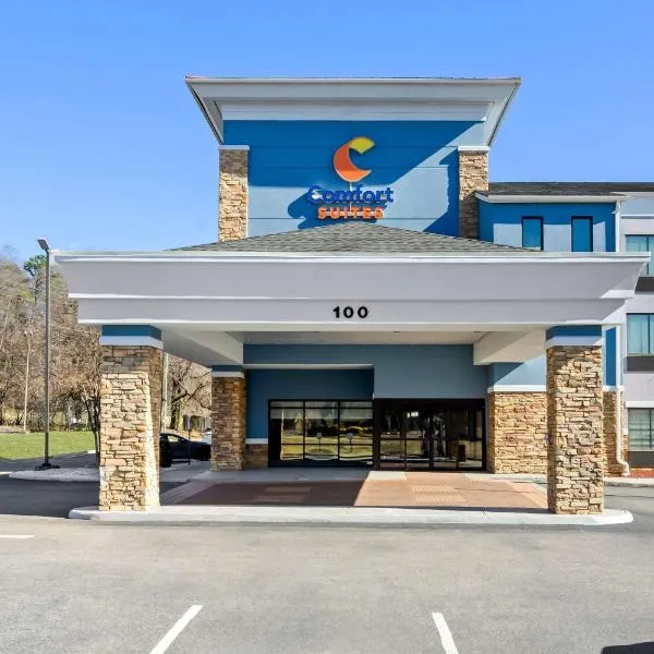 Comfort Suites Salem-Roanoke I-81，位于塞勒姆的酒店