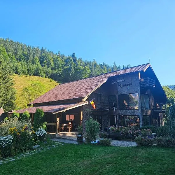 Cabana Daria，位于Izlaz的酒店