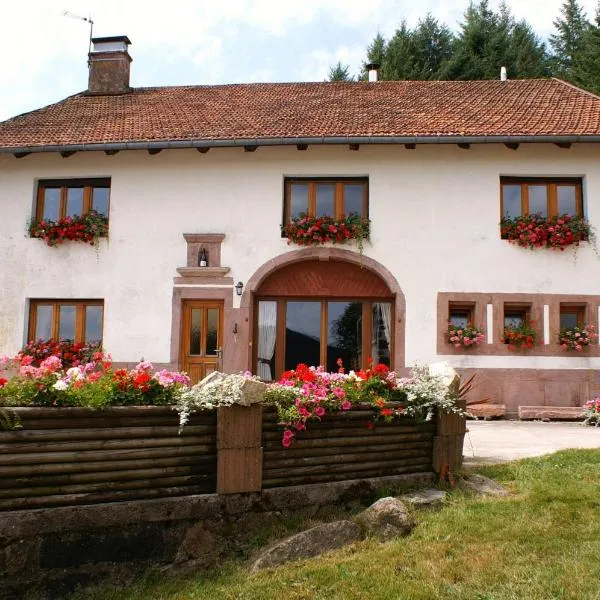 Blanche-Roche, Chambre et table d'hôtes au calme，位于Cleurie的酒店