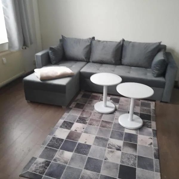 2 Raum Wohnung in der Nähe des August Horch Museum，位于茨维考的酒店