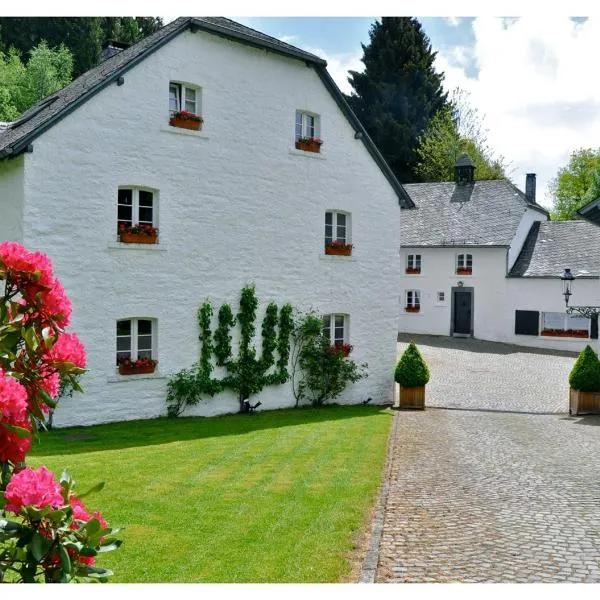 Le Vieux Moulin Weywertz，位于比特亨巴赫的酒店