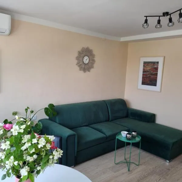 Apartman Mila，位于Mareda的酒店