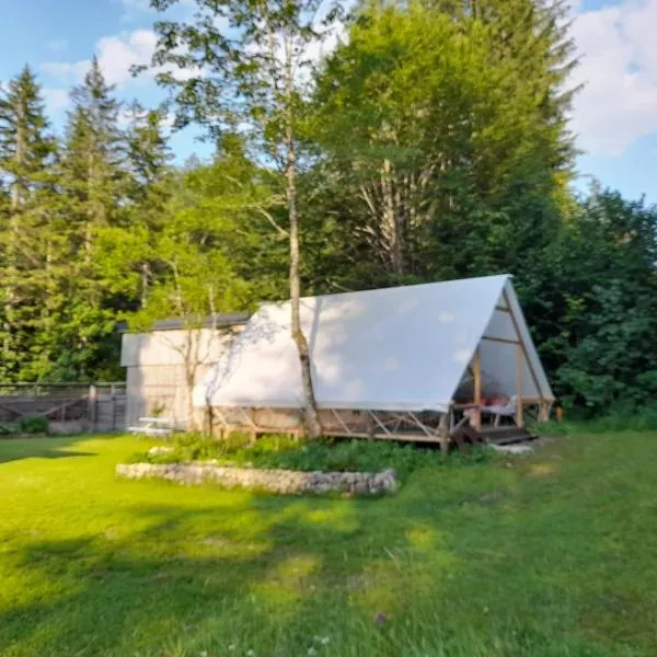 Glamping Lodge Hintersee，位于辛特湖的酒店