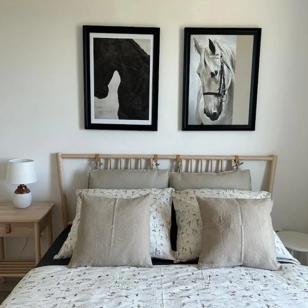 Samorin XBS view apartman plus parking，位于沙莫林的酒店