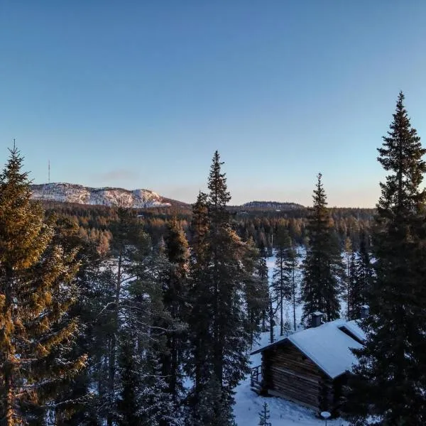 Pikkukelo Ruka，位于鲁卡的酒店