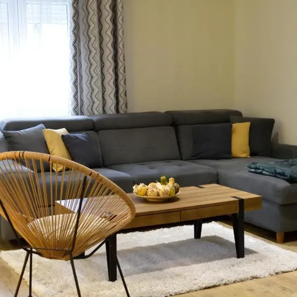 AeroVista Apartment，位于Surčin的酒店