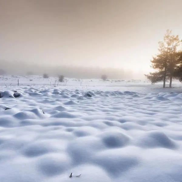 Boutique El-Rom，位于El-Rom的酒店