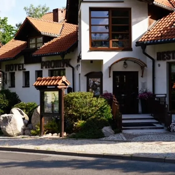 Hotel Promyk Wellness & Spa，位于卡尔帕奇的酒店