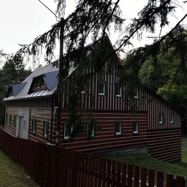 Apartmán Lesní zátiší Marlenka，位于Dolní Chřibská的酒店