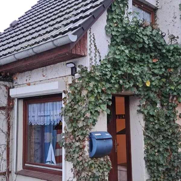Birkenweg 3 Apartment,位于Büchen的酒店