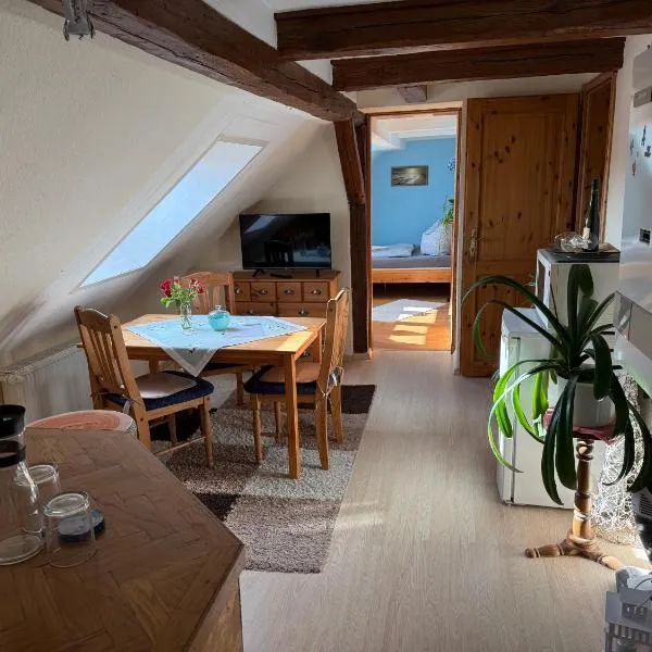 Schöne Ferienwohnung im Erholungsort Sternberg，位于施滕贝格的酒店