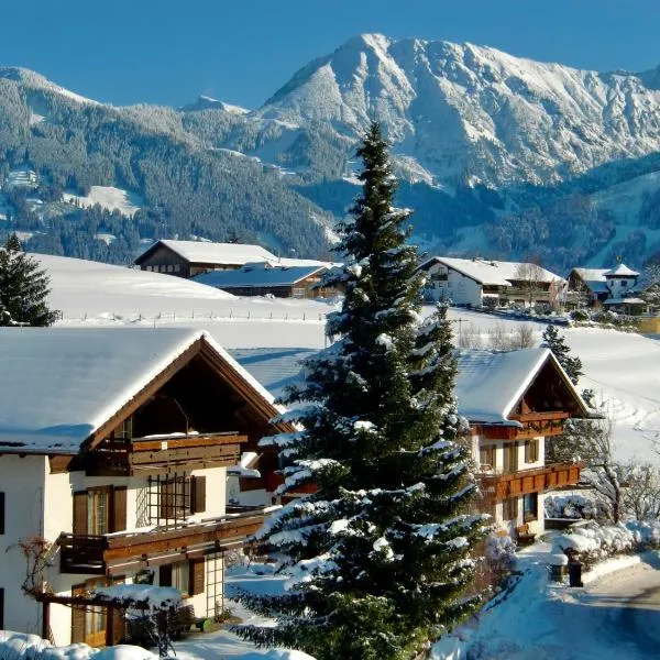 Ferienwohnung Bergrose，位于上迈塞尔施泰因的酒店