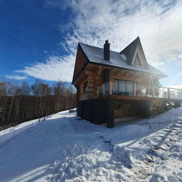 Niedźwiedzi Zakątek，位于Sidzina的酒店