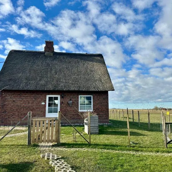 Haus Treibsel，位于达格比尔的酒店