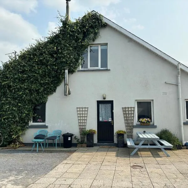 Kilkenny rental The Folly Lodge minutes from city centre R95RYC8，位于基尔肯尼的酒店