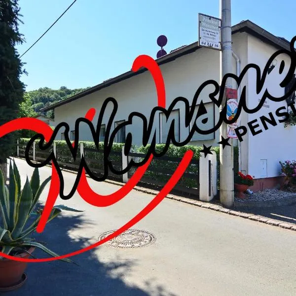 Pension Wansner，位于弗赖塔尔的酒店