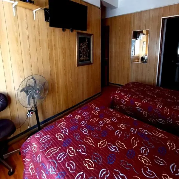 Hotel Di Maurier，位于圣地亚哥的酒店