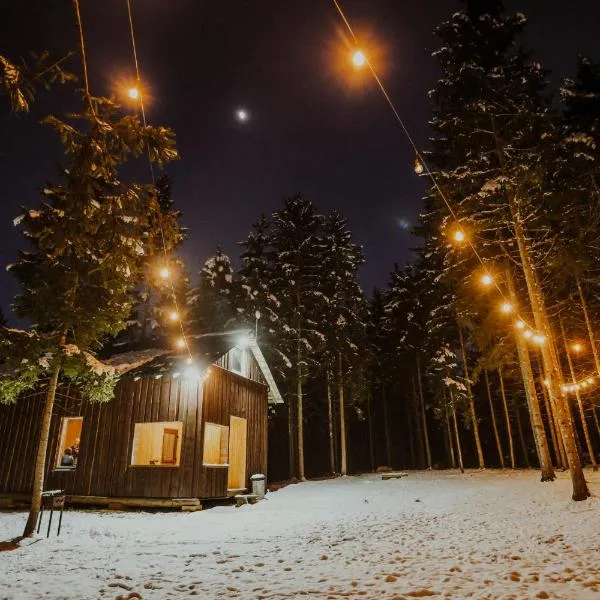 Atpūtas māja Upeskrasti，位于Zosuļi的酒店