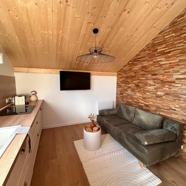 Le Mélèze, chaleureux appartement 4pers près de Genève & Annecy，位于Saint-Germain-sur-Rhône的酒店