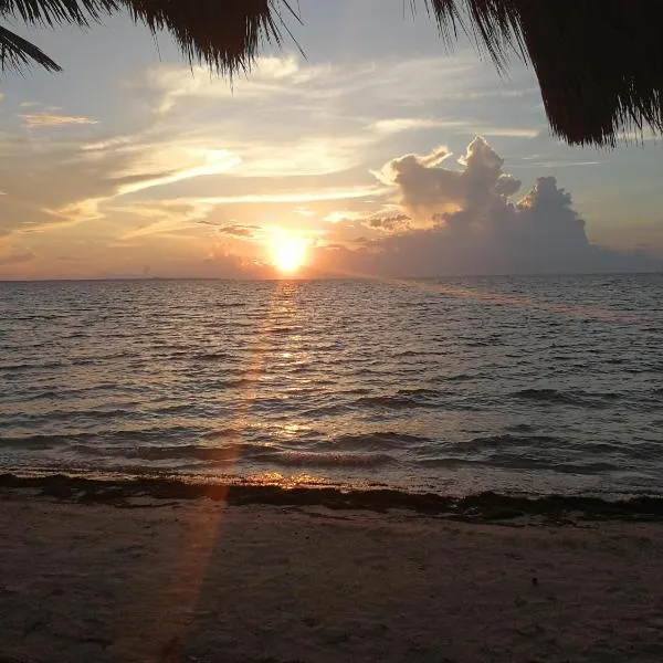 Cancun Condo & Resort，位于坎昆的酒店