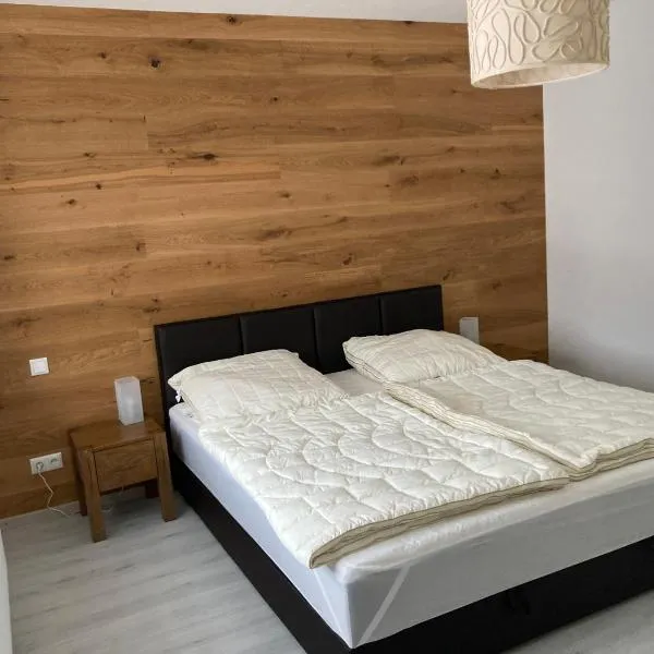 Ferienwohnung Hammerbergblick Rittersgrün，位于布赖滕布伦的酒店